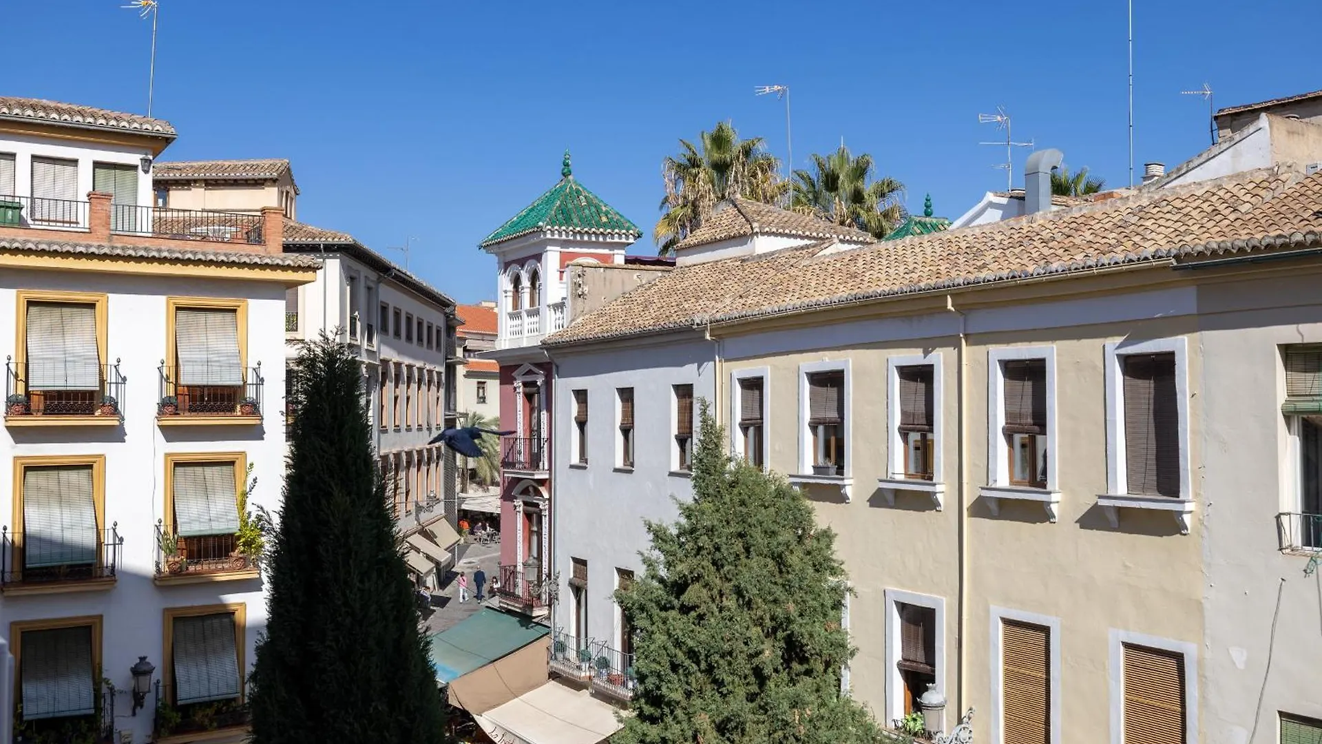 Royal View Suite Granada Apartment